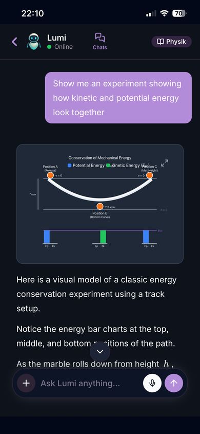Lumi chat showing an energy conservation experiment